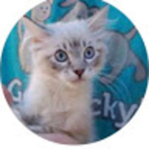 Meet your Posher, Ellen